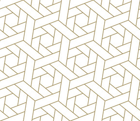 seamless pattern with abstract geometric line vector image