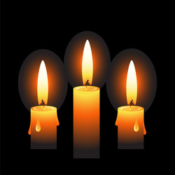 Warm Candle Glow Vector Image