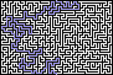 rectangle maze with solution vector image