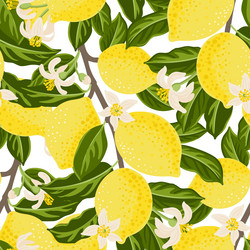 seamless pattern with lemon tree branch vector image