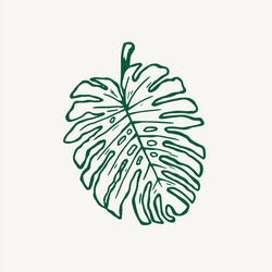 Tropical Monstera Leaf Outline Vector Image