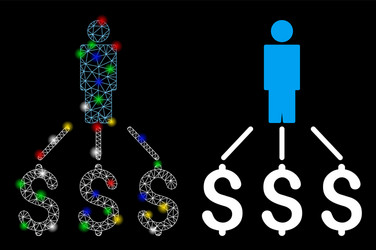flare mesh network person expenses icon with flash vector image