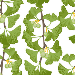 seamless pattern with ginkgo tree branch vector image