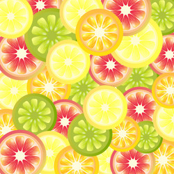 Bright background pattern with colorful citrus vector