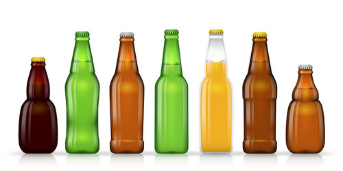 Different shapes and sizes beer bottles vector