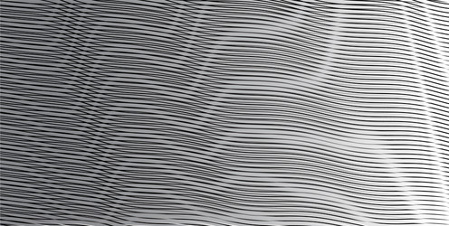 abstract monochrome linear gradient background vector image