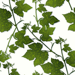 decorative seamless pattern branches of grape vector image