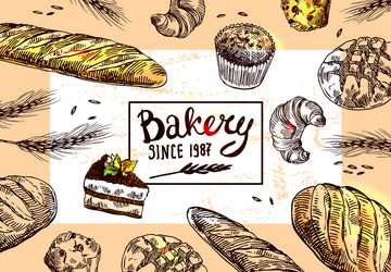 Bakery and pastry products hand drawn set Vector Image