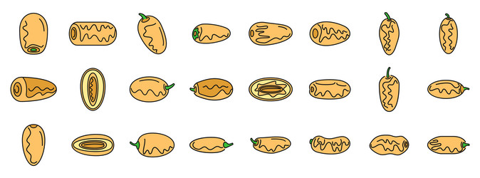 set of date fruit icons showing different angles vector image