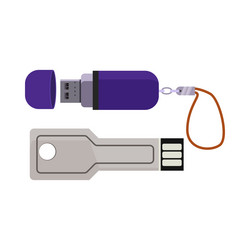 Flash memory cards Royalty Free Vector Image - VectorStock