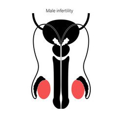 Reproductive system concept vector