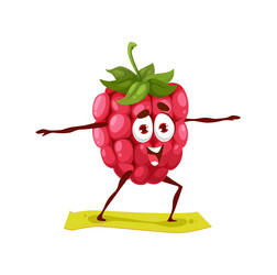 Smiling Raspberry Yogi vector image