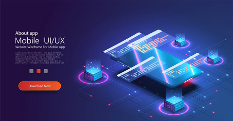 Software Development Web Page vector image
