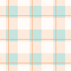 Gingham Check Pattern with Carrots vector image