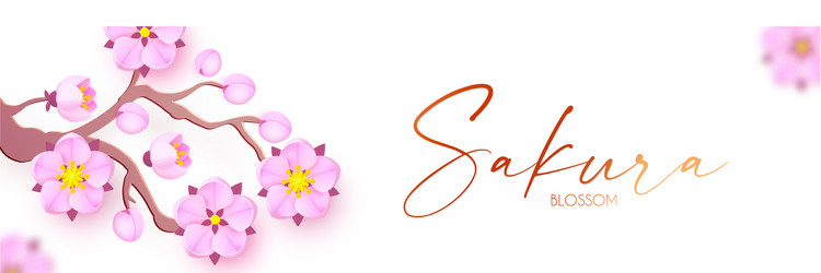 sakura blossom cute pink cherry flowers japanese Vector Image