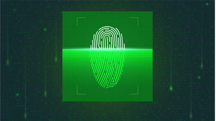 fingerprint scan on screen in digital matrix vector image