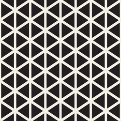 stylish minimalistic triangle shape lines grid vector image