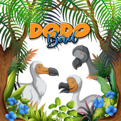 Dodo bird extinction animal cartoon character Vector Image