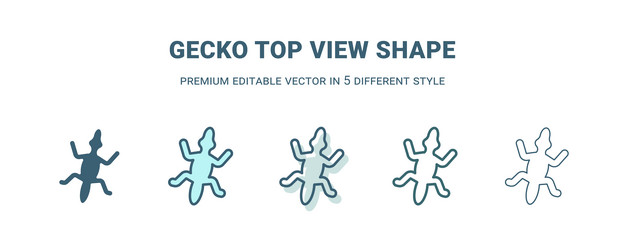 gecko top view shape icon in 5 different style vector image