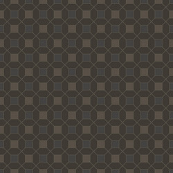 abstract geometric line hexagon square vector image