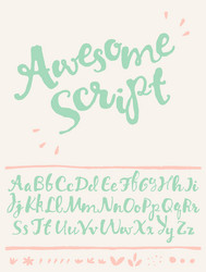 draw calligraphic font decorative elements vector image