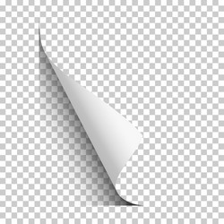page lower left curl with shadow on blank vector image