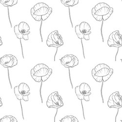 seamless pattern with drawing poppy flowers vector image