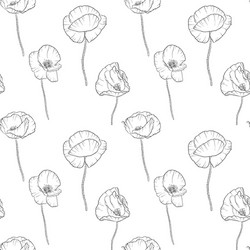 Seamless pattern with drawing poppy flowers vector