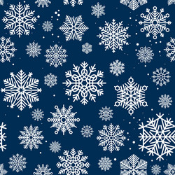 Winter Snowflake Pattern vector image