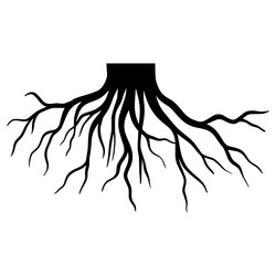 doodle sketch style of tree root vector image