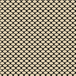 Delicate Lacy Net Pattern vector image