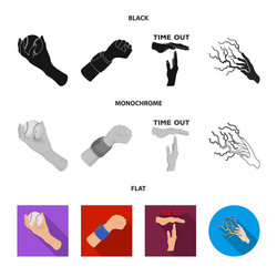 isolated object animated and thumb icon vector image