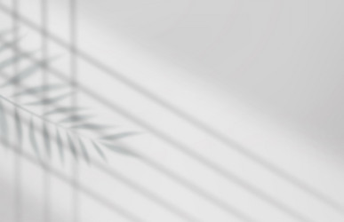 empty studio abstract background vector image