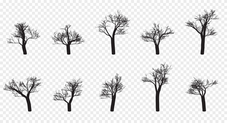 naked trees silhouettes set hand drawn isolated vector