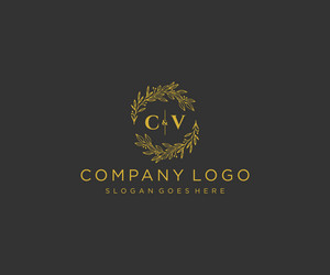 Initial cv letters floral frames unique Royalty Free Vector