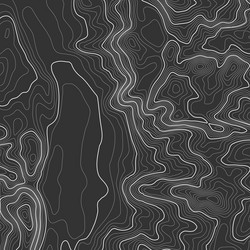 topographic map background with space for copy vector