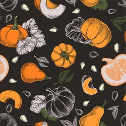 pumpkins seamless pattern sketch hand vector image