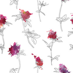 seamless pattern with clover flowers vector image