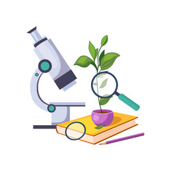 Science common plant parts Royalty Free Vector Image