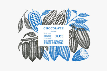 cocoa design template chocolate beans vector image