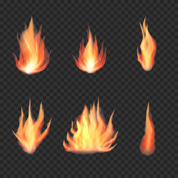 Realistic fire flames on a transparent background Vector Image