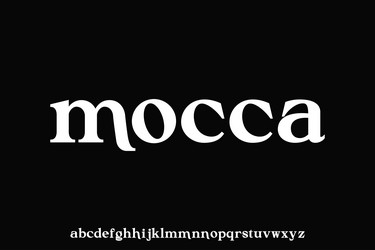 display alphabet font design suitable vector image