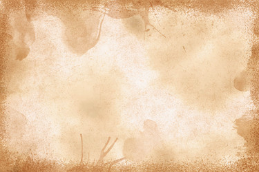 Realistic old paper texture with empty space Vector Image