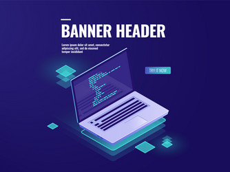 program code on laptop screen isometric office vector image