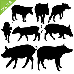 Pig Silhouettes Collection Vector Image