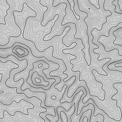topographic map background with space for copy vector image