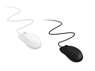 3d abstract simple white and black computer mouses vector image