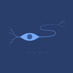 structure of a motor neuron vector image