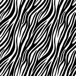 Zebra Print Seamless Pattern vector image