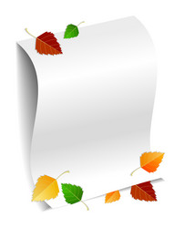 white sheet of a4 paper with space for text vector image